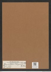 Amphitetras perryana (Tr. et Witt.) De-Toni (de-Toni-Nr.: Genus 137, Species 3640) Zeichnungen Sammlung Grunow Mappe 03781 (Herbarium_W_Grunow_drawings_Folder_03781)